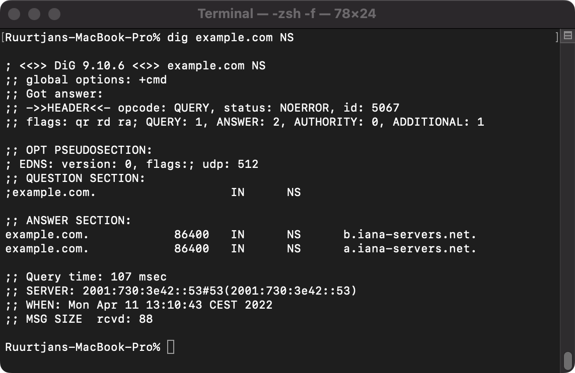 Example output of a NS lookup query