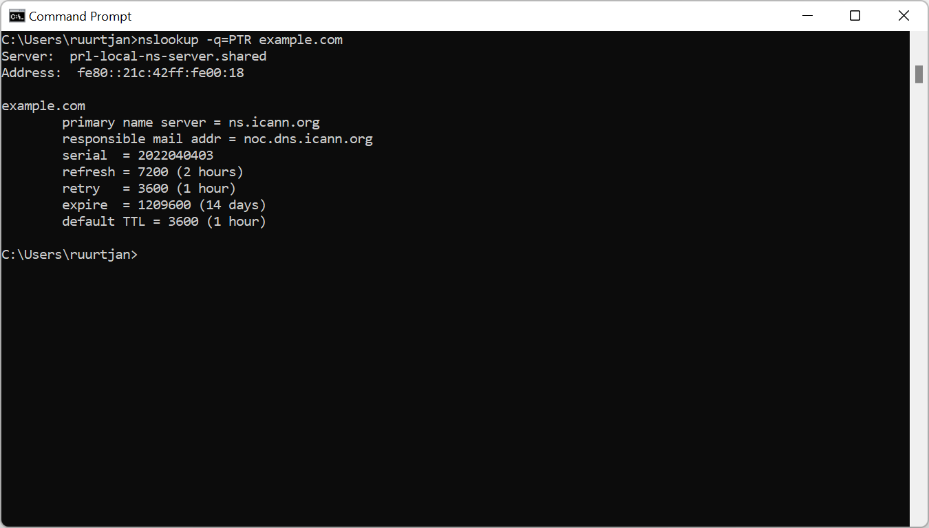Reverse DNS lookup in Windows